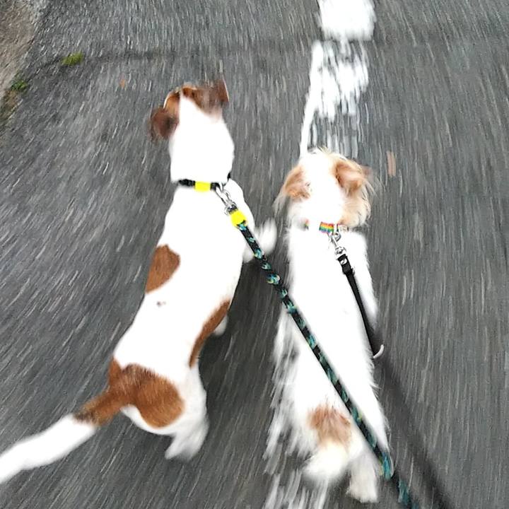 25540629 8802 42dc 9ae5 8748fba45f61 1529322814946