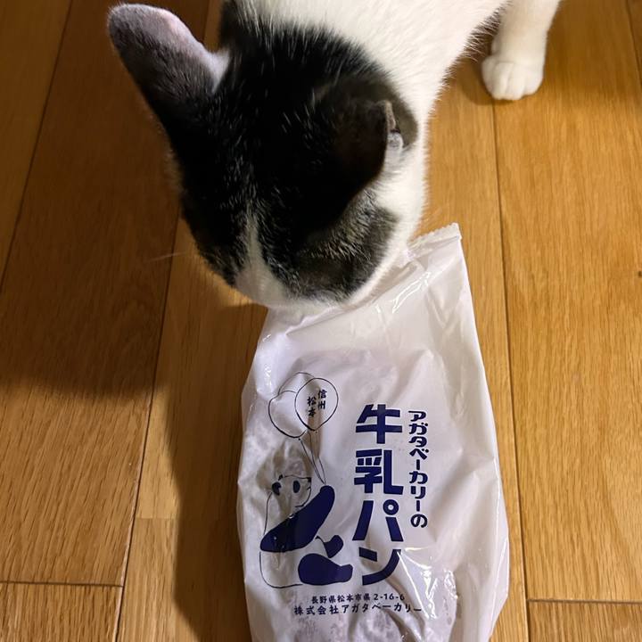 255428bd 2686 43e3 9a07 9770c7514dc8 1718361967532