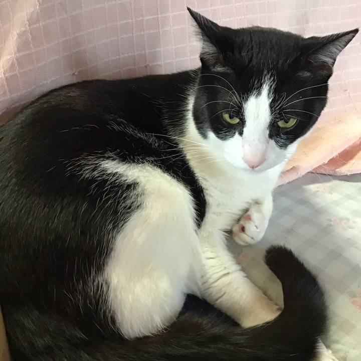 2554522c b248 4f8f acb1 26706d4ef5fa 1710406719209