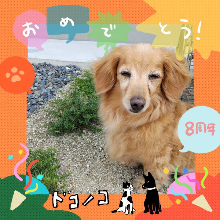 255460a3 1fd9 4f31 baed 7a0b134218af 1717812205107