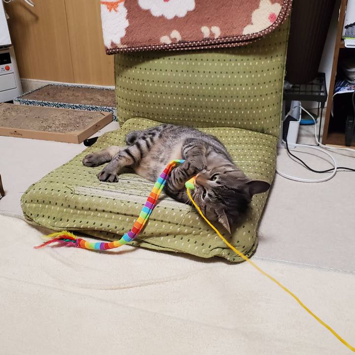 25546133 073f 48ab 8b74 4b21f4612495 1694527483772