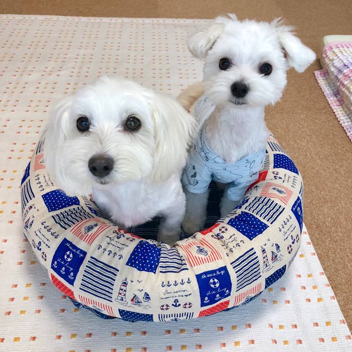 25549770 19b4 4066 9332 63012a6e7a9f 1567748083603