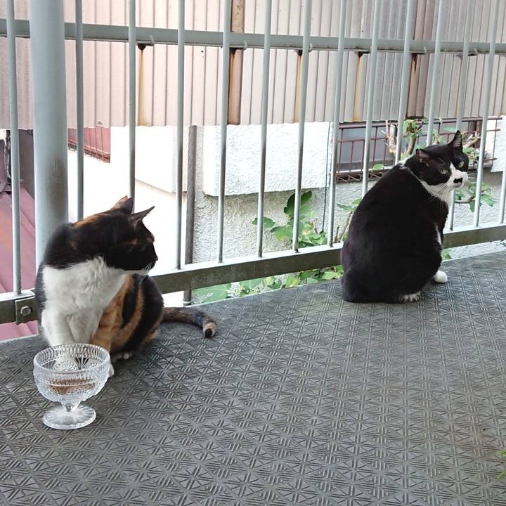 2554dc8f 7926 4e5d 8fce 831830482b30 1632383764024