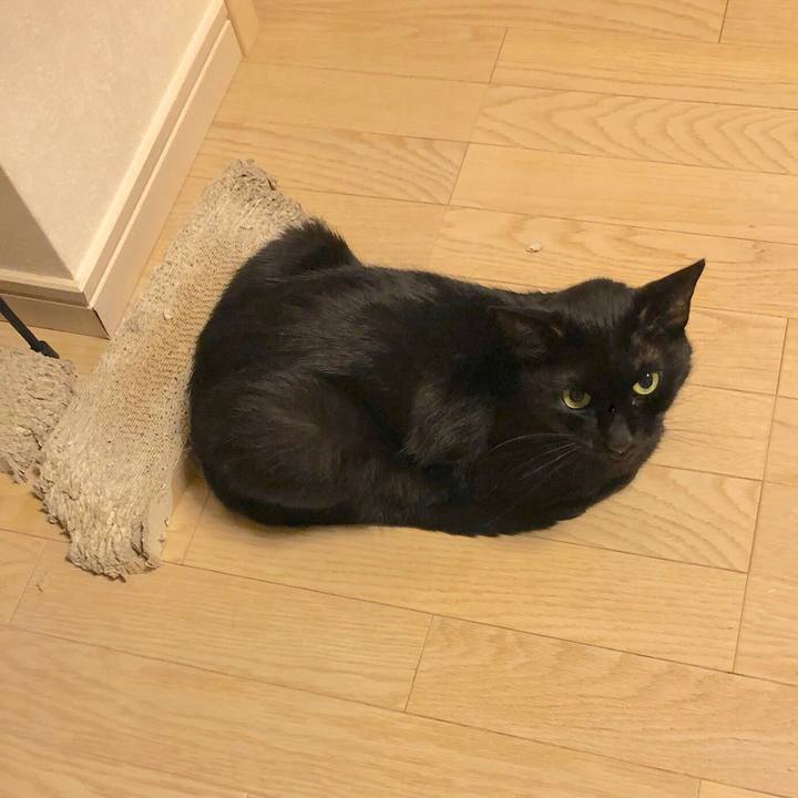 2554ecb7 bb35 452d b765 fd34d3d1390e 1563876656244