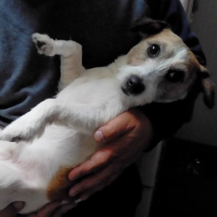 2554fad6 3eea 4fea 86ad ee710276e248 1511627246074