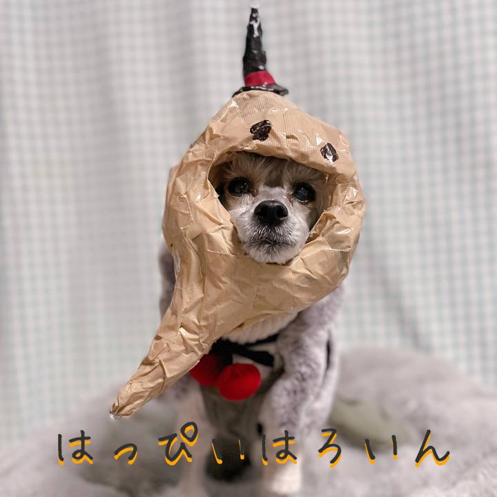 25550f99 c72e 4d9b aa18 7f2974dee81c 1761879344916