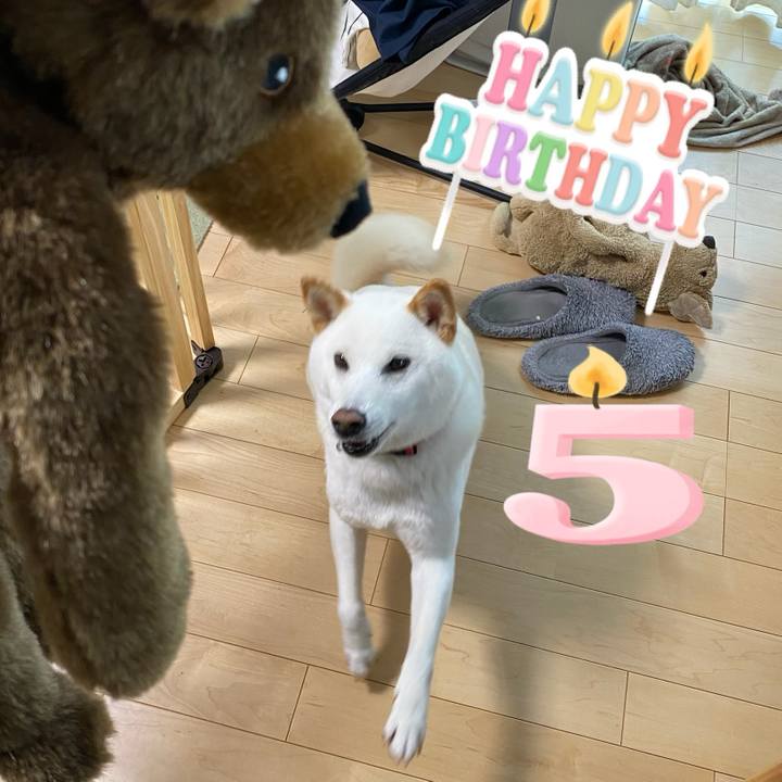 255529bb 43c2 4c61 b0cf 7749fdf2a89c 1626332695390