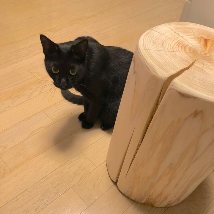 25553686 7850 48cc aa2f 15e0502fa217 1539312466878