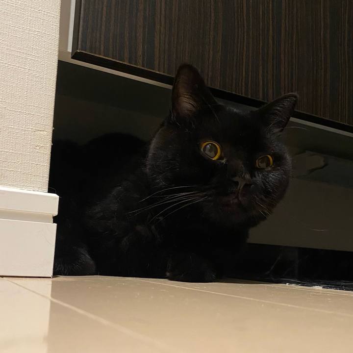 25556f8d 1f98 435a 8668 d5d4ad6c3085 1726314976893