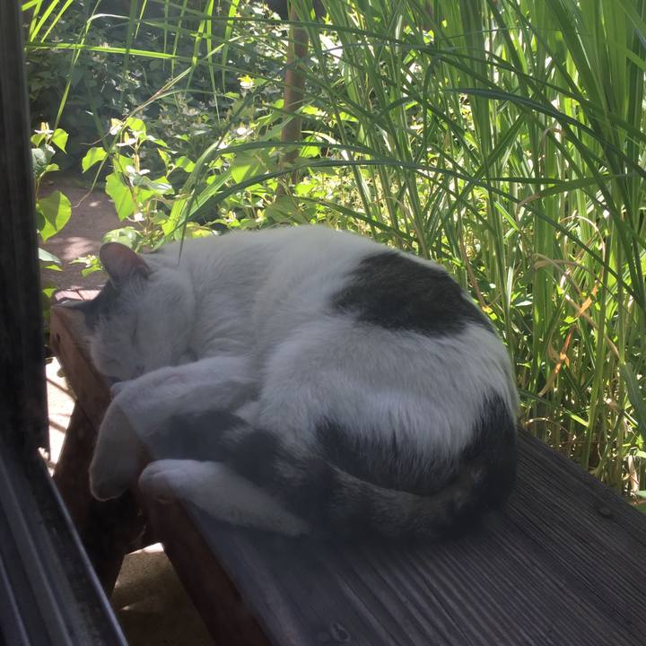 2555f70e 082e 4abe 9cad 64230a9c2cd4 1656398184346