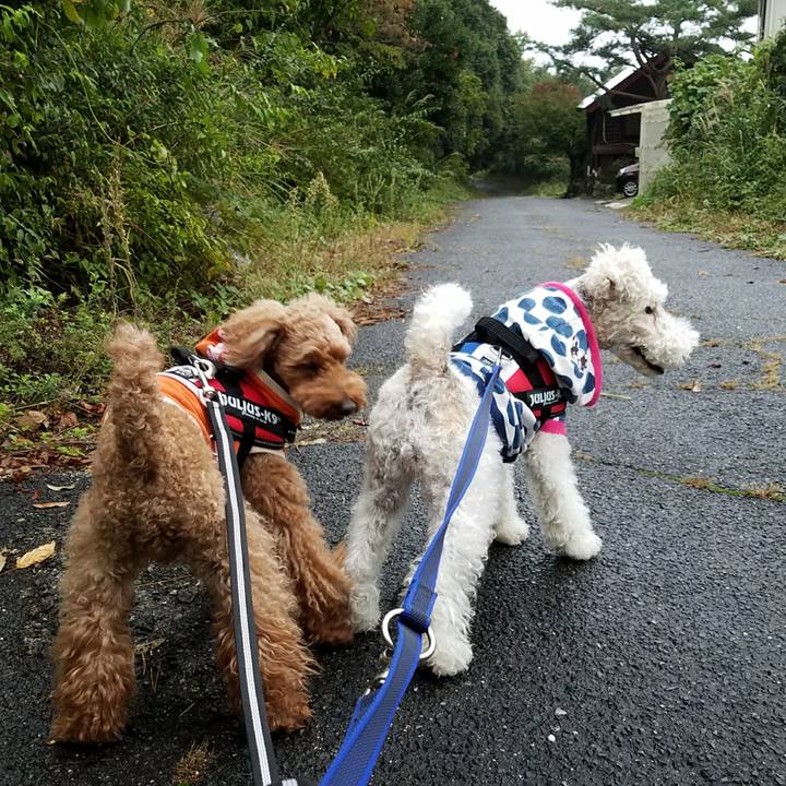 2555f853 b8da 4038 acfb 181af3eb4ec6 1508541994031