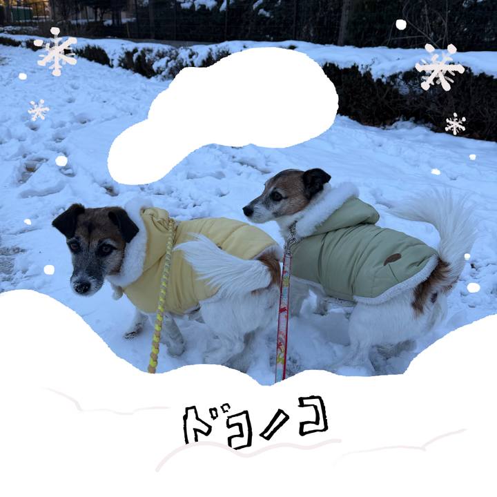 2556463a d3b2 47f5 8b36 71d670520d91 1771816086466