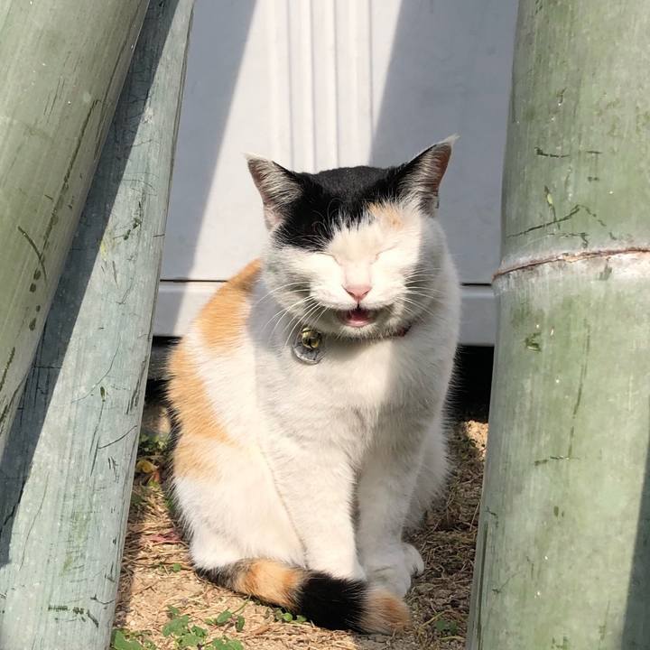 25564a03 08c9 41e2 9cc2 cea1ce2214f9 1640850006945