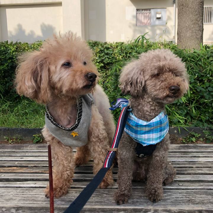 25564b82 8820 4744 b691 66523f7b00dd 1623968787619