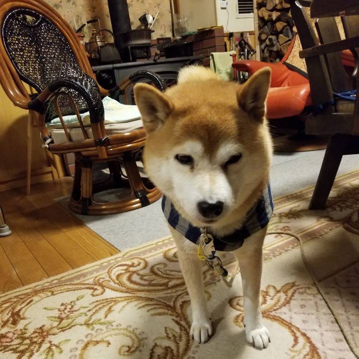 255652c7 63d7 47ec 9256 bdfb175146d1 1578214760271