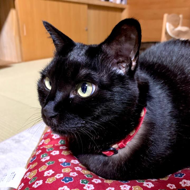 25567660 4b5c 41a4 9c47 3515b9062d6d 1583589530806