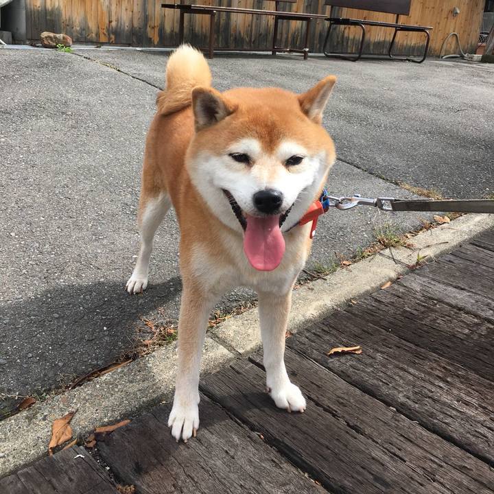 25567b63 12d4 4dcf 82f4 b4c75c8eca7d 1537618168679