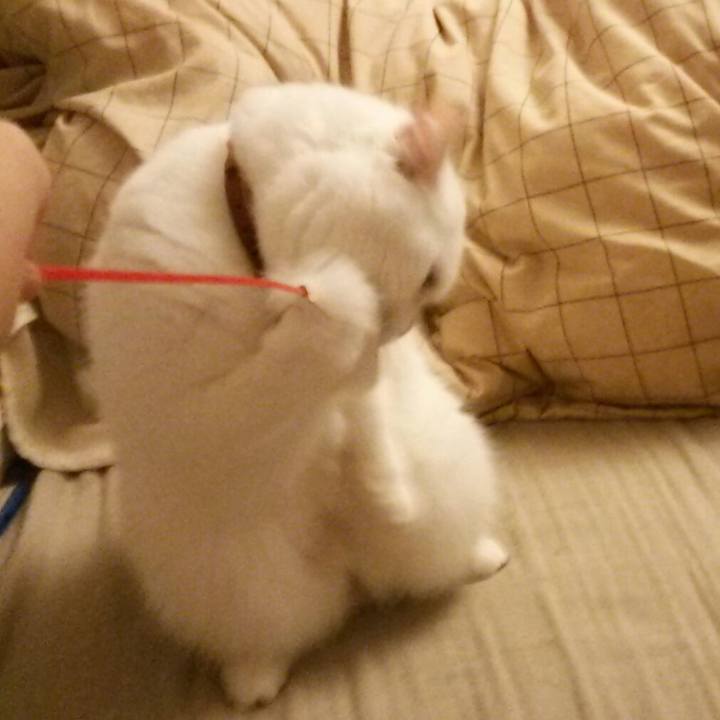 25568243 6e4f 438a 90d1 8f1564b19567 1512427275850