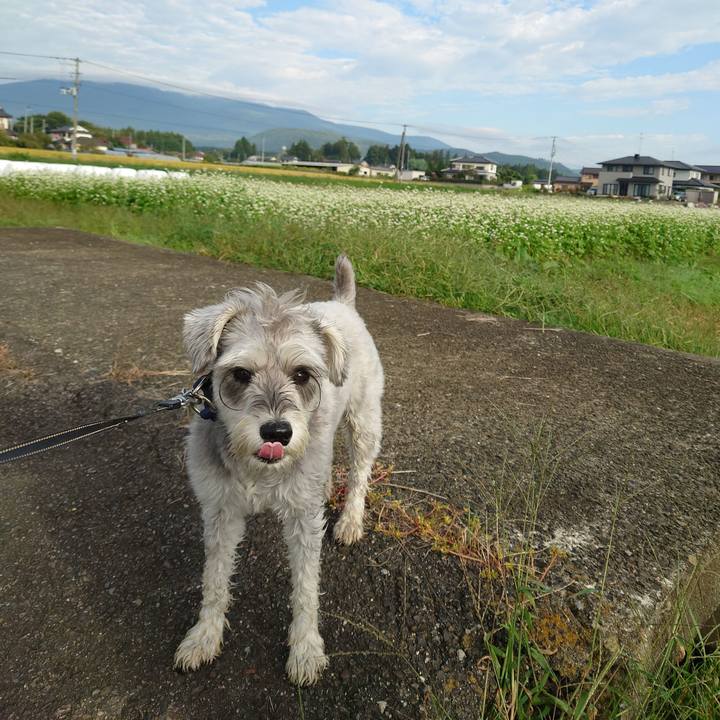 25569721 b8ae 4ea9 911f f11d131ae0e6 1759534393083