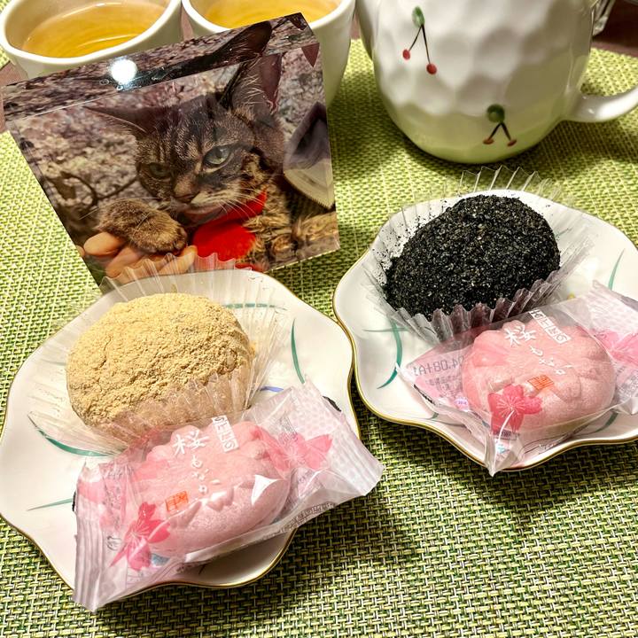 2556a2bc 92ab 4144 928f bdcf738d1b81 1773921478121