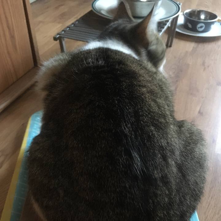 2556d43d 38ad 4cee ade9 9d1c846c6099 1617753290214