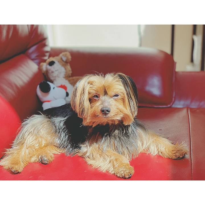 2556f855 84e8 43d6 aae2 267e430cdf64 1555304573068