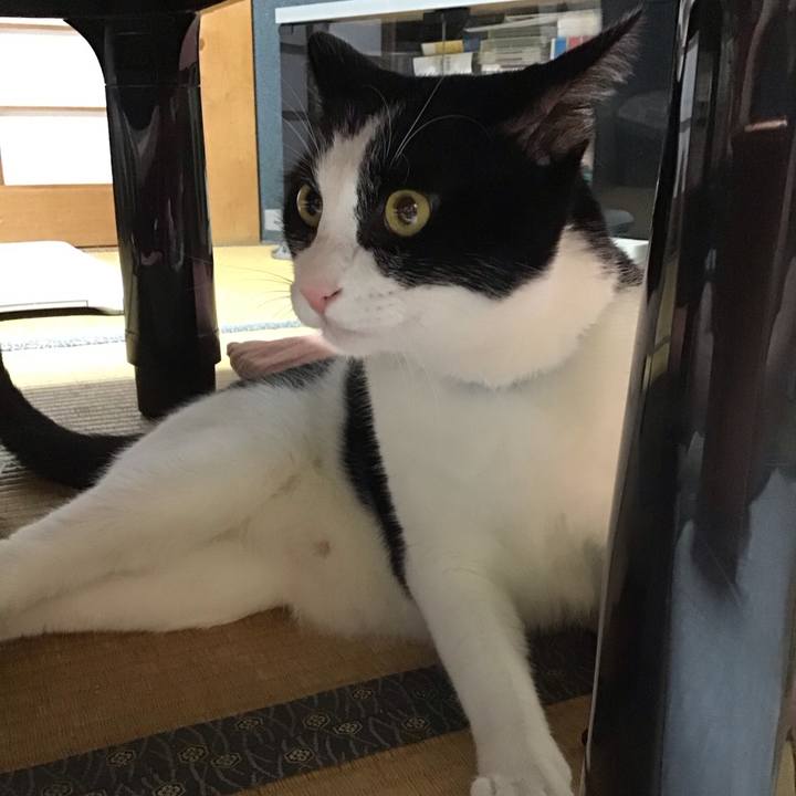 2556fb11 35aa 4aa9 b092 d4f4797ae6b0 1692270274913