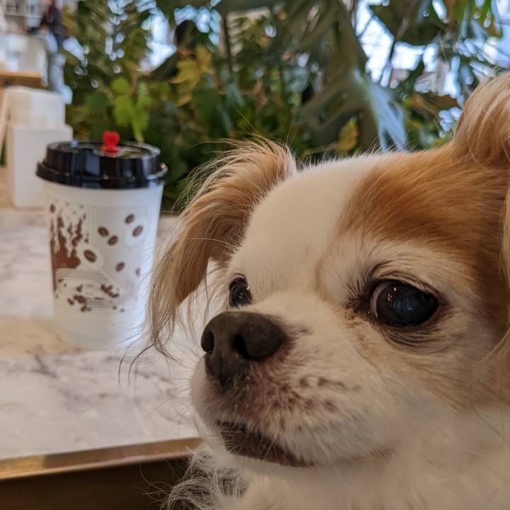 25570989 55cd 42c0 afb5 eff3ad8f3133 1648256984563