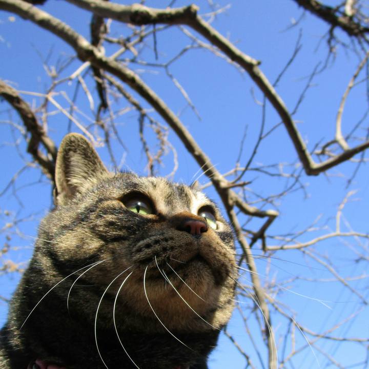 25570cb7 c521 47b9 9fc5 d7d5f6ac10dd 1516371430949