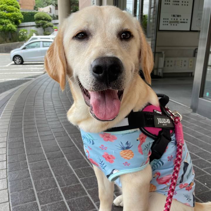 255744f6 922a 4423 b810 c0f48d930a74 1623971702510