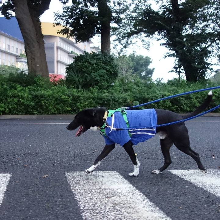 255755c7 e9d0 4c47 b3ff 56e692f97d54 1595586285378