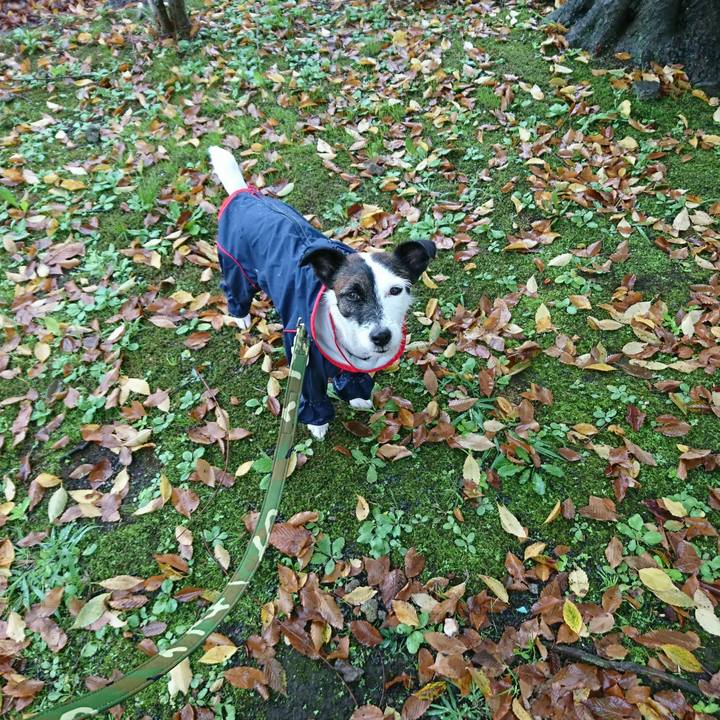 255761fc 24bc 4052 860c a095b1bb5dd0 1508031769916