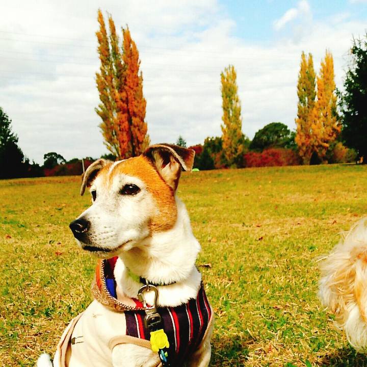 2557767c b227 4175 9192 fd448db6c881 1510462450743