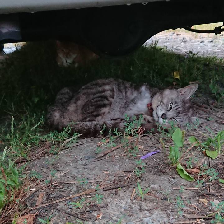 25577a0b e6e8 4255 80fb c95936b73a2c 1598824256718