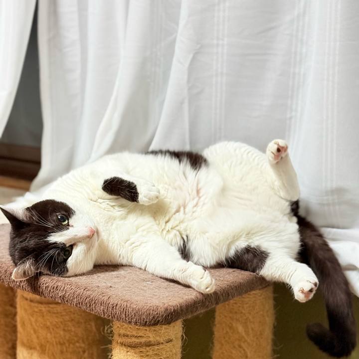 2557b6d6 41e2 40e2 b9d3 9838f2383ee3 1742351574952