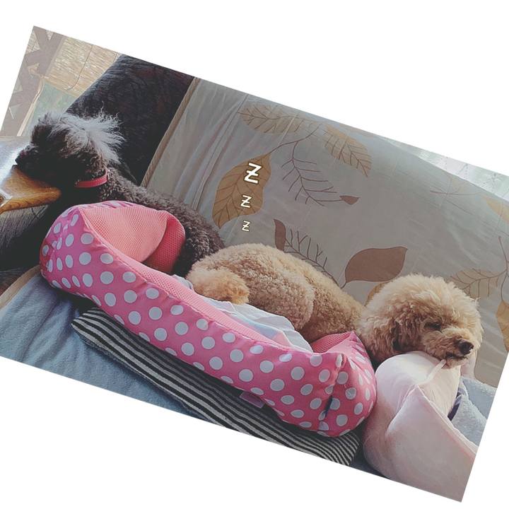 2557fd1f c169 47da 901c 075781ee6f69 1600757281220