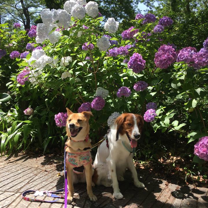 25581a13 ed83 4981 a8ed b66a592cc3ee 1528547150022