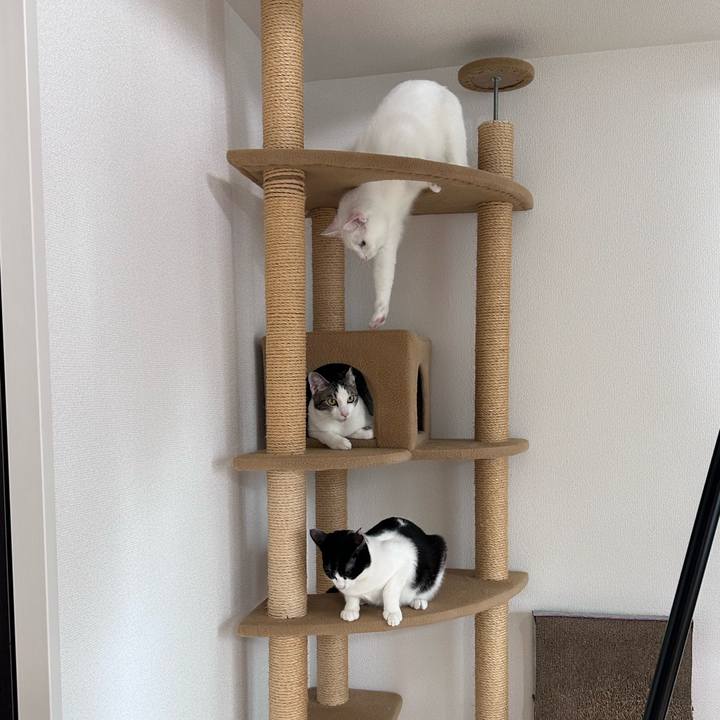 2558242f b52b 42c2 8615 15bc501b74a9 1770330204212