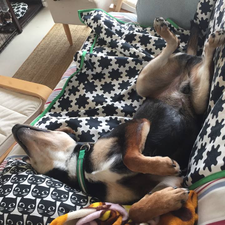 255870e5 ceea 484a 8dc5 fd1f41661f90 1523856306008