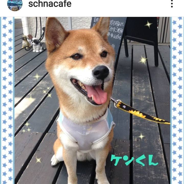 2558b3a7 36f3 47c6 9a61 30ba6cd24c72 1597475200239