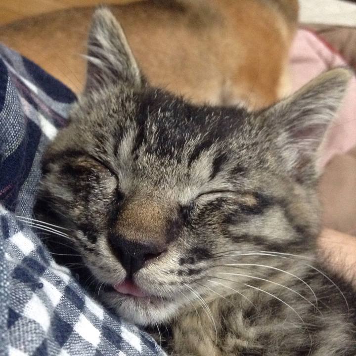 25594d87 efb5 44b9 8615 1dc60b7a2b4d 1528596958835