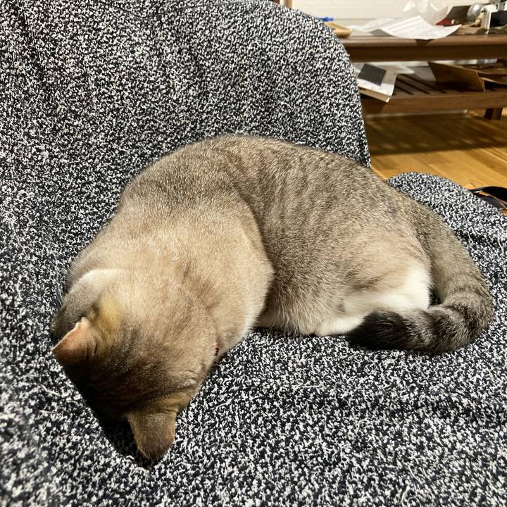 25595f4e 3d05 49db 8e4e ade0e530ec56 1594639371557