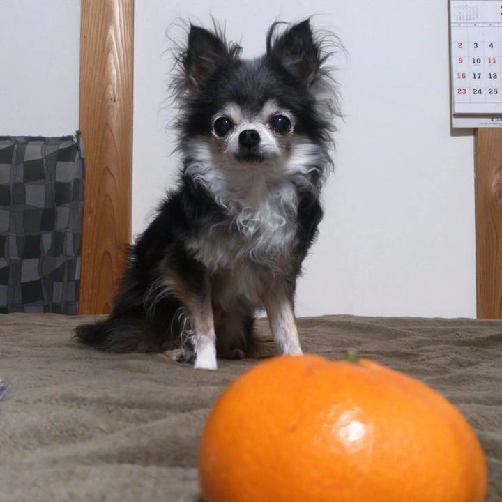 2559a0c3 7139 4b2c 8657 7d8bea95e4b4 1765517805341