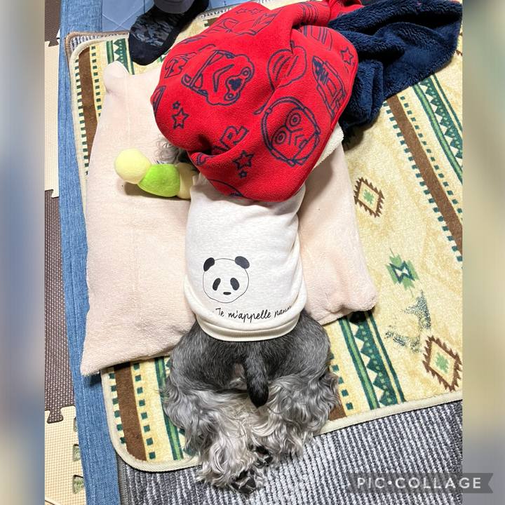 2559b353 ccca 4cc0 ab0b 41710895ae7f 1737900120948