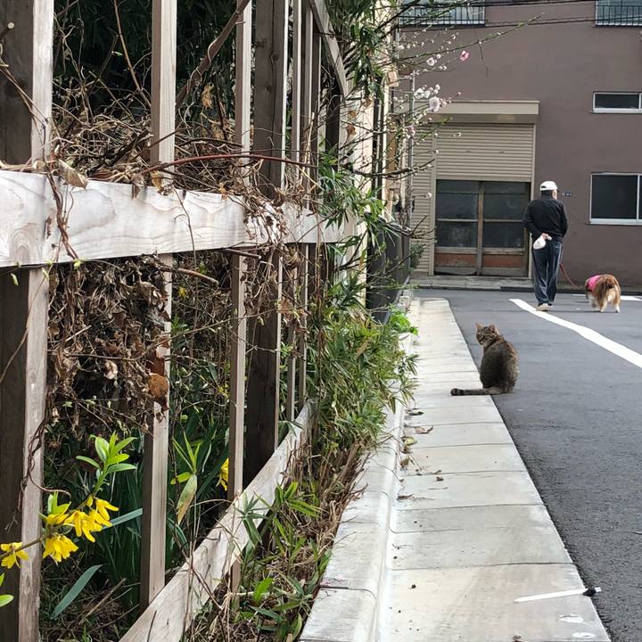 2559d66e de6f 443d aad9 90b473a70ee4 1521795618862