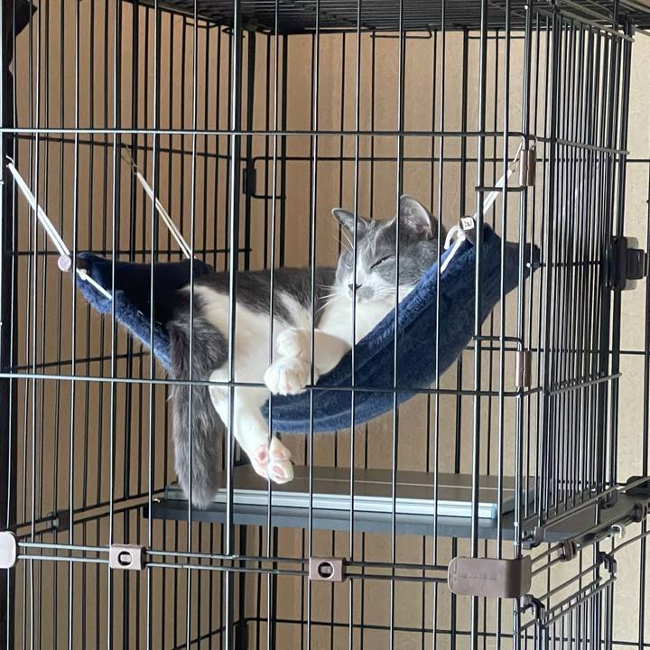 255a2bff 27ea 41ad a5a7 ae23c8e6433e 1662262320970