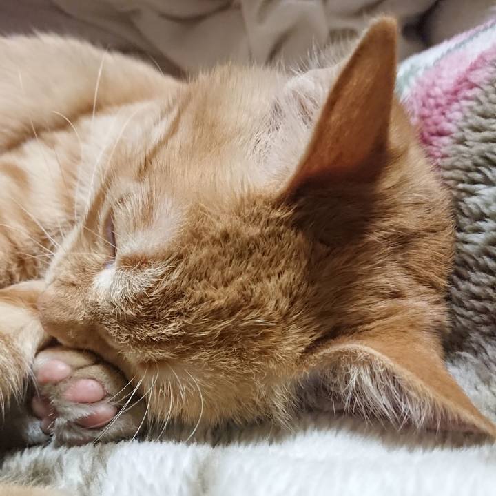 255a5501 da5d 4583 b1b2 3a444c9deb0b 1636028654336