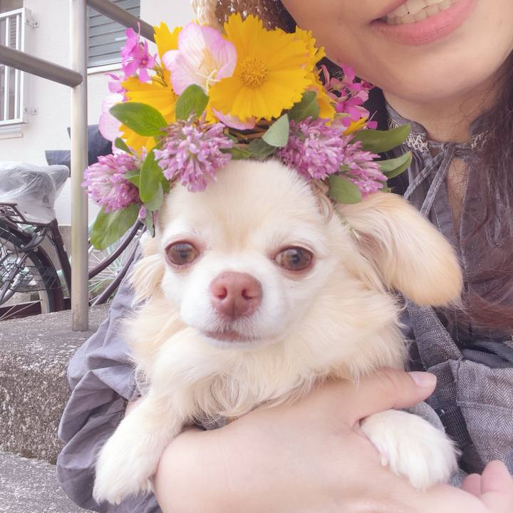 255a7627 ca16 4e27 bd8a 9691a2d9864f 1747125414315