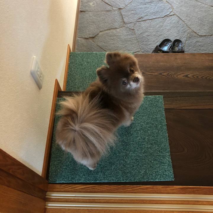 255a8620 a844 4b35 858a df61b2359d12 1621564180506