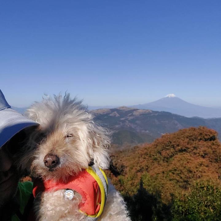 255ab2f9 64a5 4527 b306 199269091e2a 1703853835517